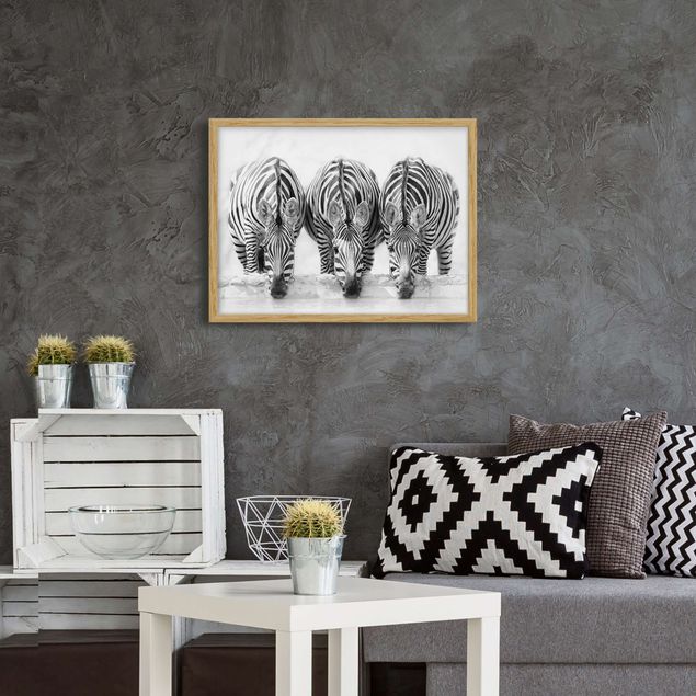 Wanddeko Flur Zebra Trio schwarz-weiß