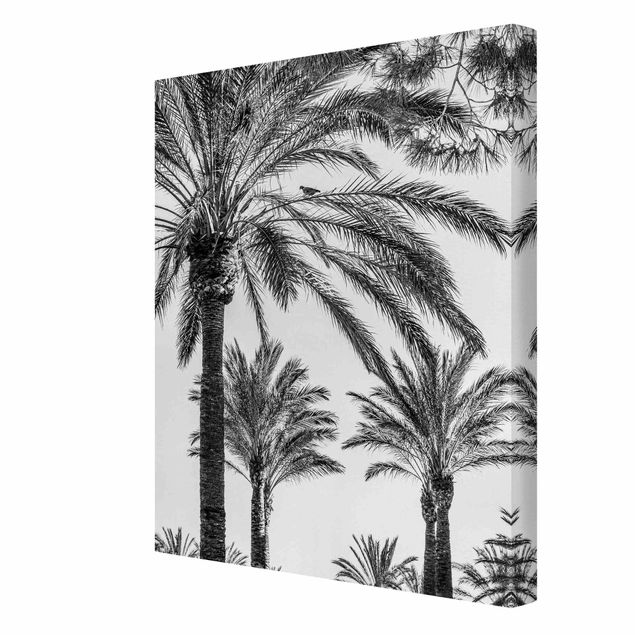 Wanddeko Treppenhaus Palmen im Sonnenuntergang Schwarz-Weiß