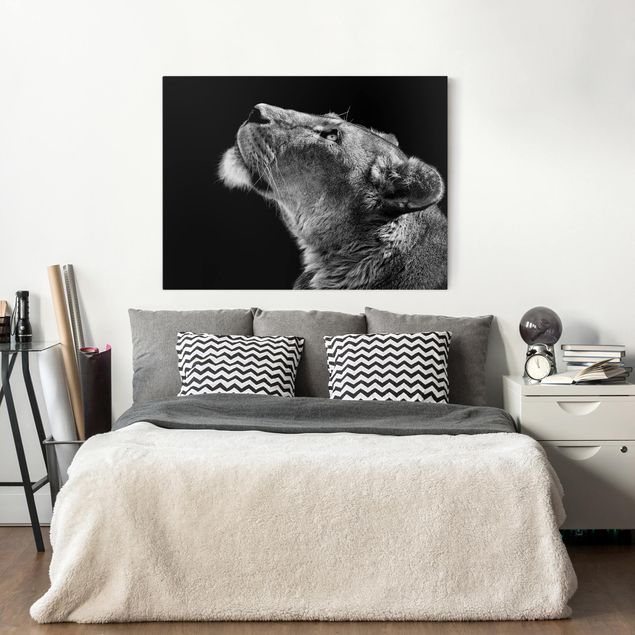 Wanddeko Schlafzimmer Portrait einer Löwin
