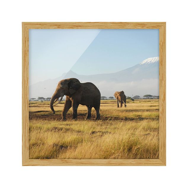 Wanddeko Flur Elefanten vor dem Kilimanjaro in Kenya