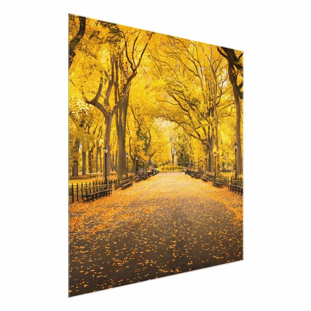 Wanddeko Flur Herbst im Central Park