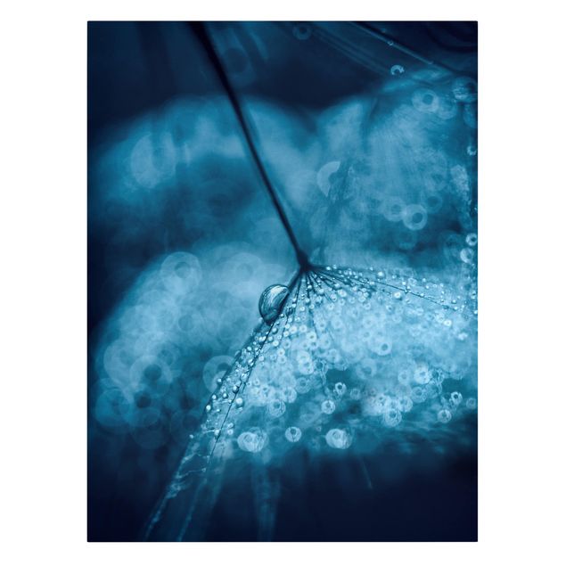 Wanddeko Blume Blaue Pusteblume im Regen