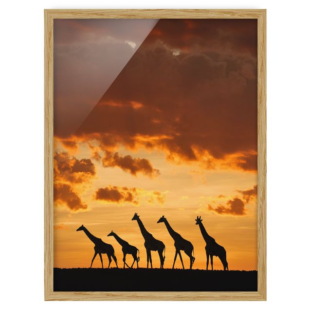 Wanddeko Flur Fünf Giraffen
