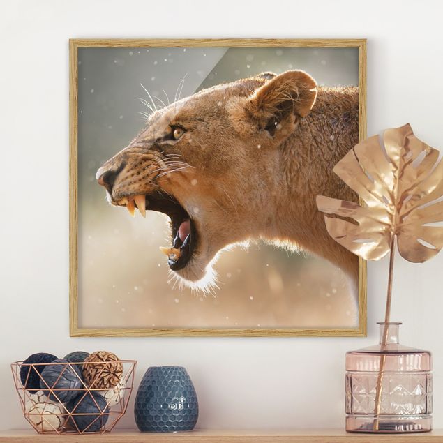 Wanddeko Schlafzimmer Löwin auf der Jagd
