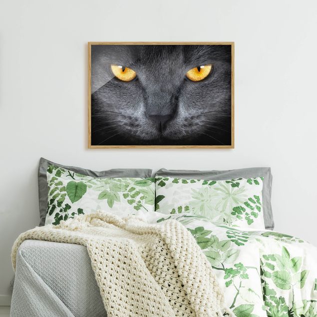 Wanddeko Schlafzimmer Cats Gaze
