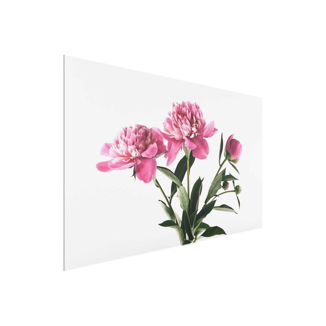 Wanddeko Blume Blüten und Knospen Pink auf Weiß