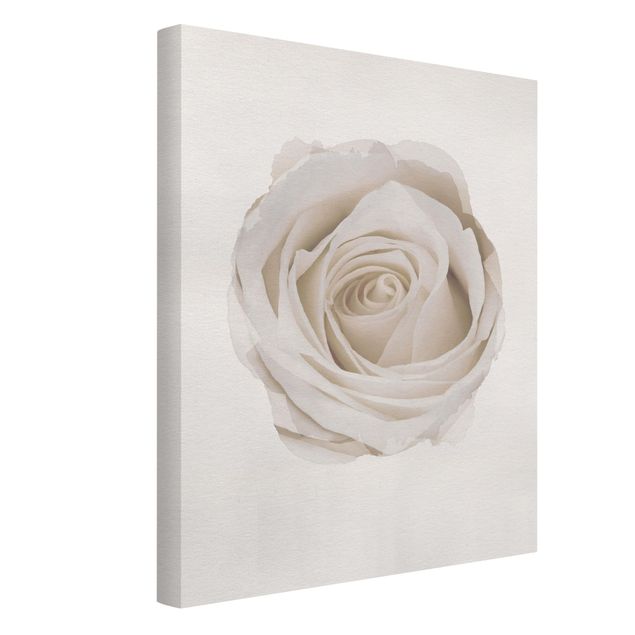 Wohndeko Blume Wasserfarben - Pretty White Rose