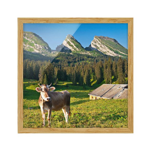 Wanddeko Esszimmer Schweizer Almwiese mit Kuh