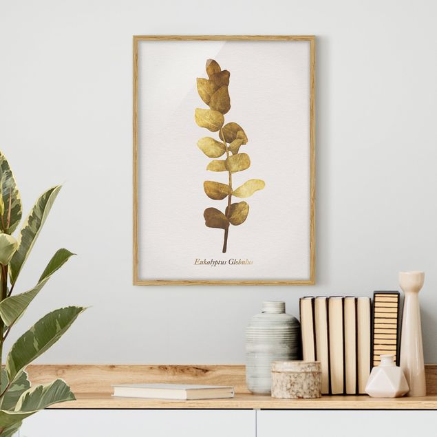 Deko Botanik Gold - Eukalyptus