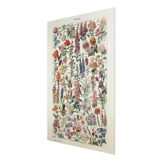 Wanddeko Esszimmer Vintage Lehrtafel Blumen V