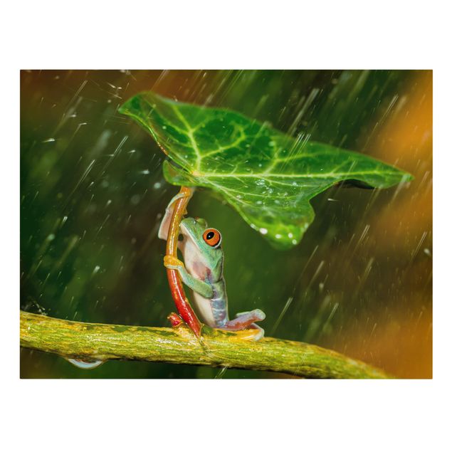 Wanddeko Esszimmer Ein Frosch im Regen
