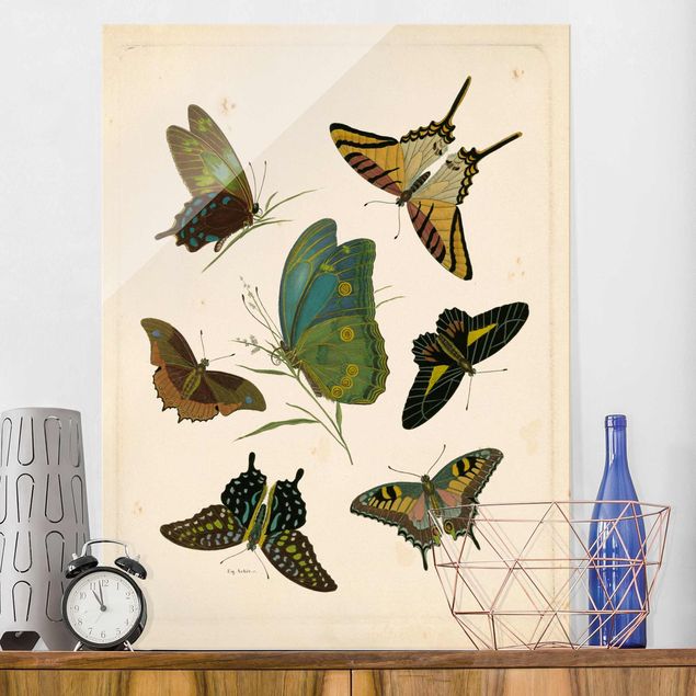 Wanddeko Schlafzimmer Vintage Illustration Exotische Schmetterlinge