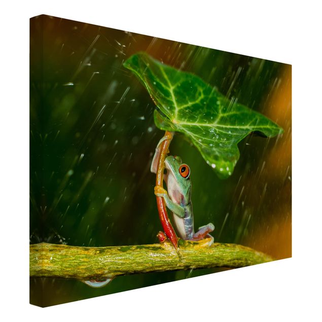 Wanddeko Flur Ein Frosch im Regen