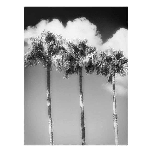 Wanddeko Treppenhaus Palmen vor Himmel Schwarz-Weiß