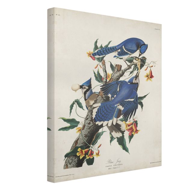 Wanddeko Blume Vintage Lehrtafel Blauer Häher