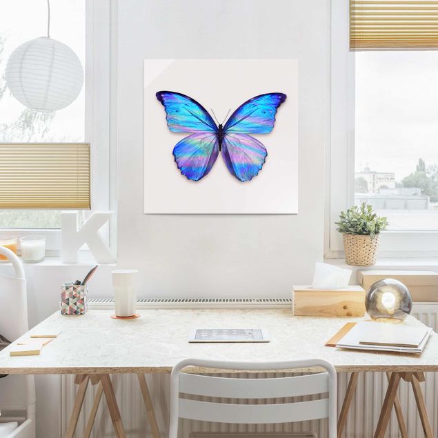 Wandbilder Fische Holografischer Schmetterling