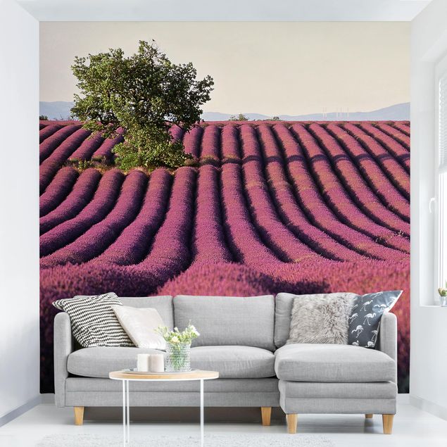 Wanddeko Wohnzimmer Lavender