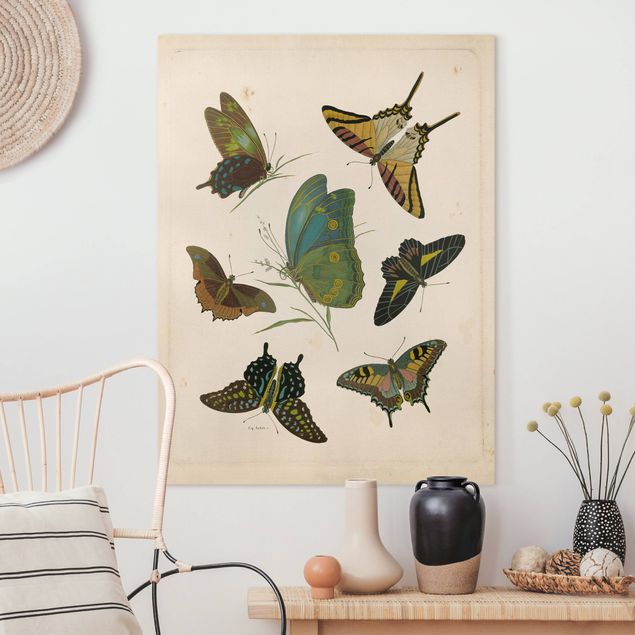 Wanddeko Wohnzimmer Vintage Illustration Exotische Schmetterlinge