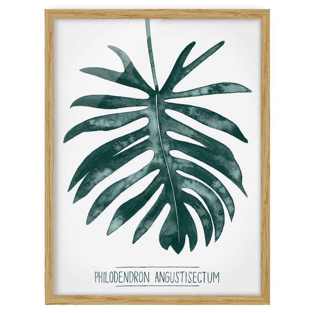 Wanddeko Flur Smaragdgrüner Philodendron Angustisectum