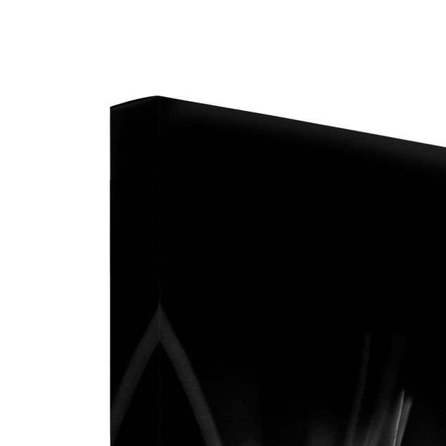 Wanddeko Esszimmer Bewegte Pusteblumen Nahaufnahme auf schwarzem Hintergrund