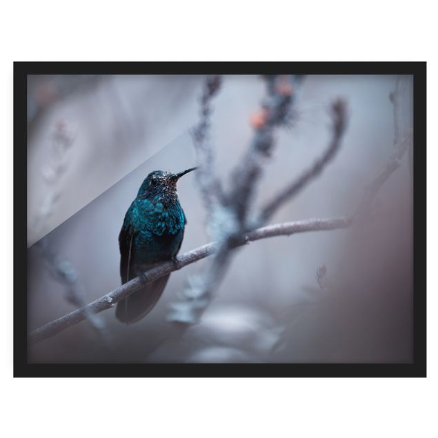 Wanddeko Esszimmer Kolibri im Winter
