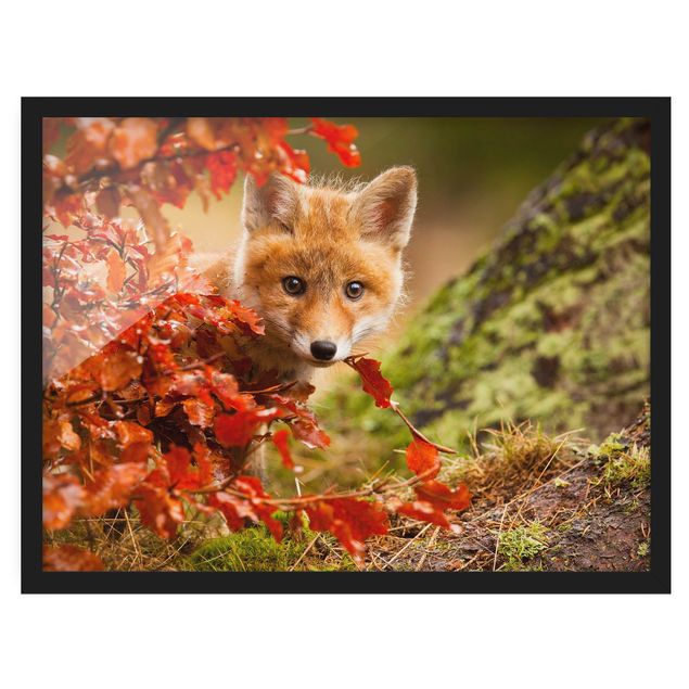 Wanddeko Esszimmer Fuchs im Herbst