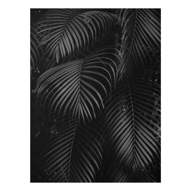 Deko Pflanzen Schwarze Palmwedel