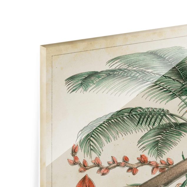 Wanddeko Treppenhaus Vintage Lehrtafel Exotische palmen II