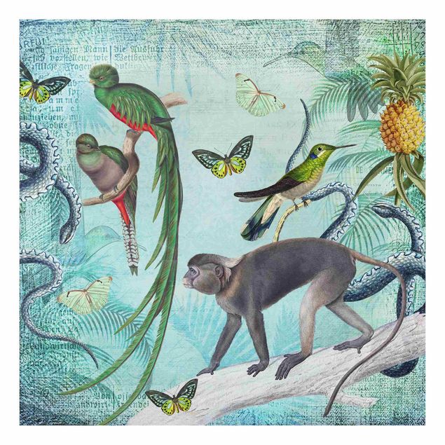 Wanddeko grün Colonial Style Collage - Äffchen und Paradiesvögel