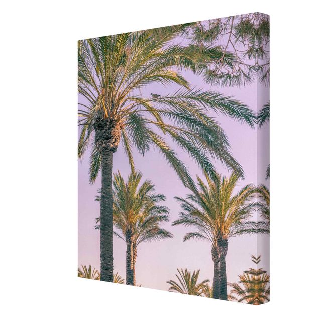 Wanddeko Büro Palmen im Sonnenuntergang