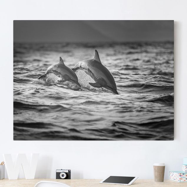Leinwandbilder Fisch Zwei springende Delfine