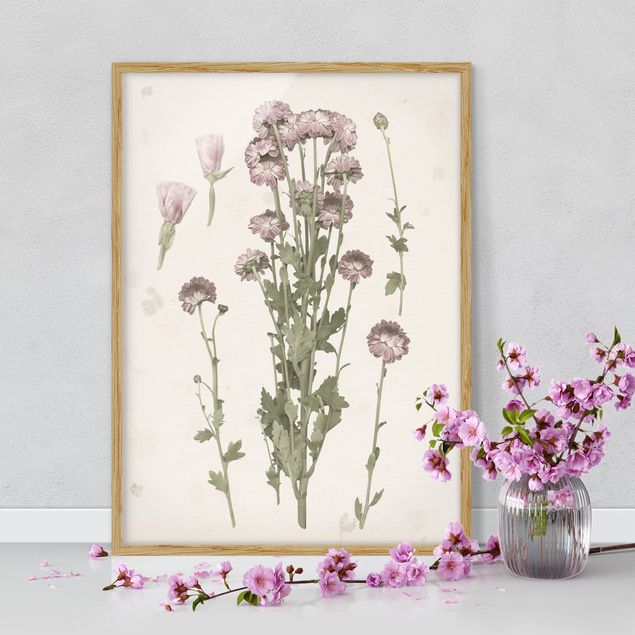 Wanddeko beige Herbarium in rosa I