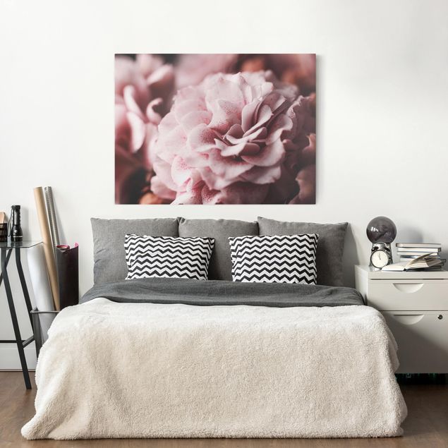 Wanddeko Schlafzimmer Shabby Rosa Rose Pastell