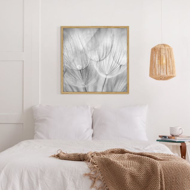 Wanddeko Schlafzimmer Pusteblumen Makroaufnahme in schwarz weiß