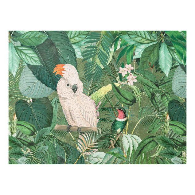 Wanddeko grün Vintage Collage - Kakadu und Kolibri