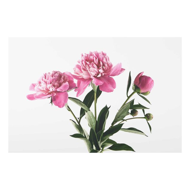 Wanddeko Flur Blüten und Knospen Pink auf Weiß