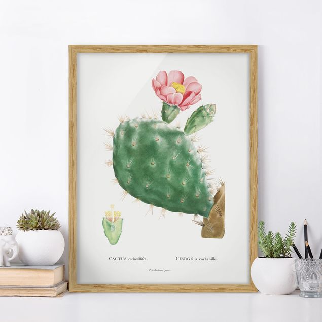 Wanddeko Wohnzimmer Botanik Vintage Illustration Kaktus Rosa Blüte