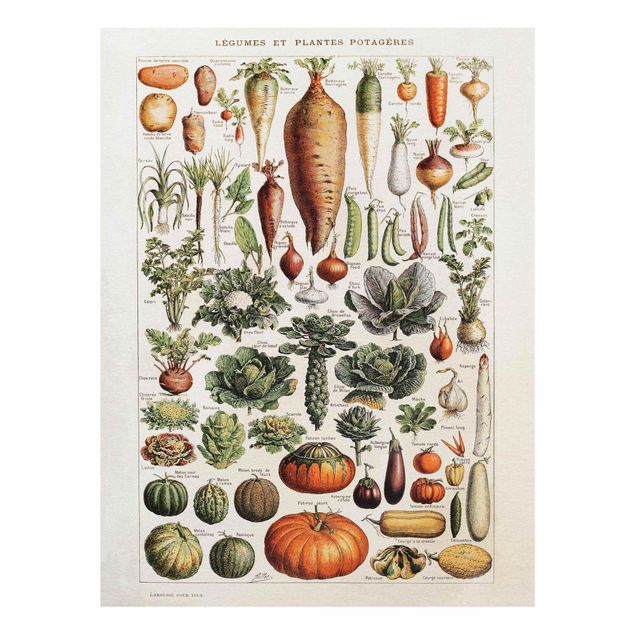 Wanddeko Pflanzen Vintage Lehrtafel Gemüse