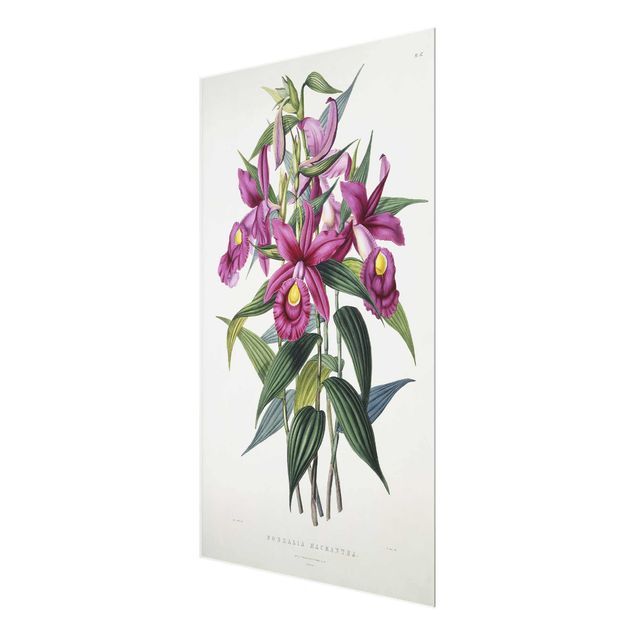 Wanddeko Esszimmer Maxim Gauci - Orchidee I