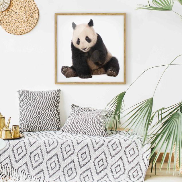 Wanddeko Büro Panda Tatzen