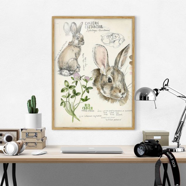 Wanddeko Wohnzimmer Wildnis Journal - Kaninchen