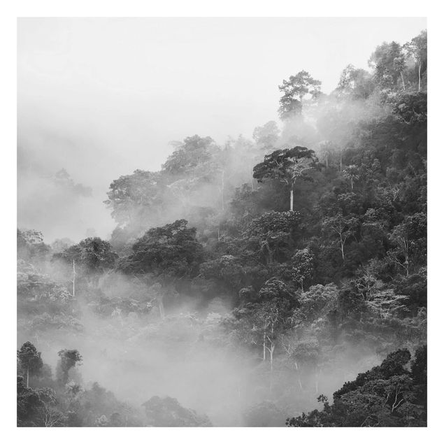 Wanddeko Treppenhaus Dschungel im Nebel Schwarz Weiß
