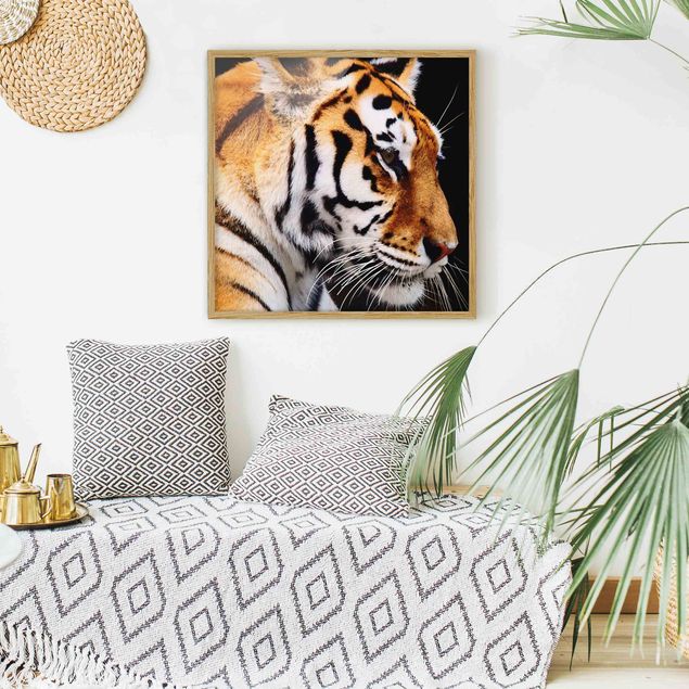 Wanddeko Schlafzimmer Tiger Schönheit