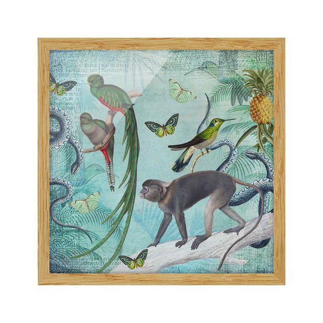 Wanddeko Flur Colonial Style Collage - Äffchen und Paradiesvögel