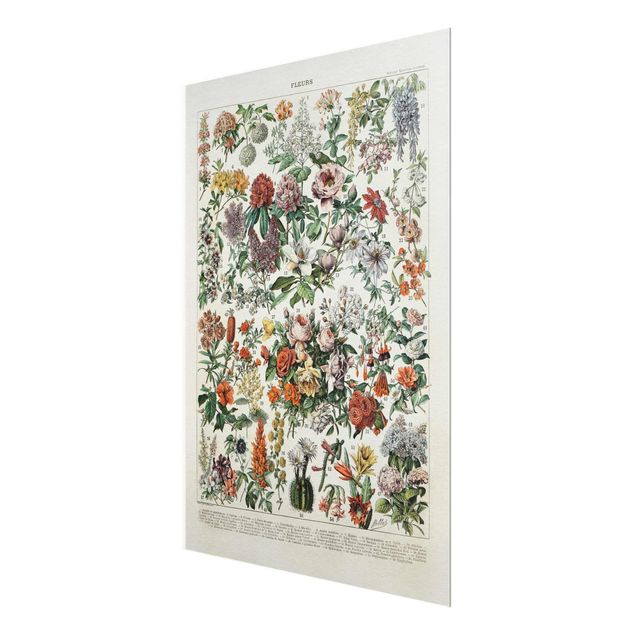 Wanddeko Esszimmer Vintage Lehrtafel Blumen II