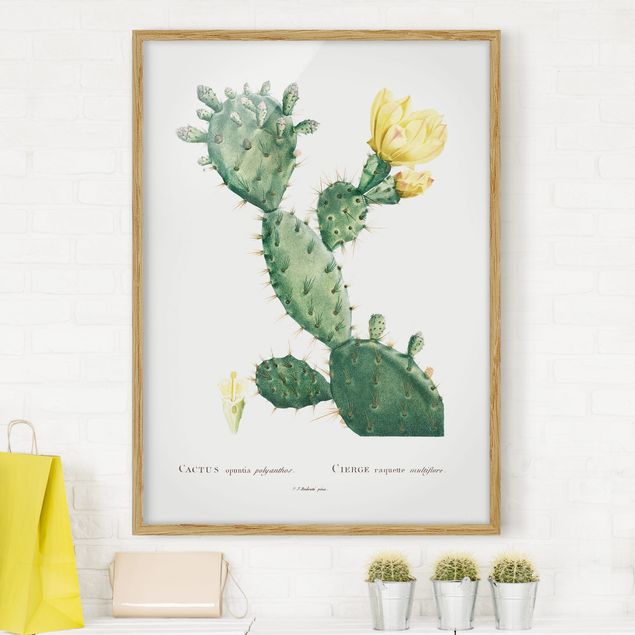 Wanddeko Wohnzimmer Botanik Vintage Illustration Kaktus mit gelber Blüte