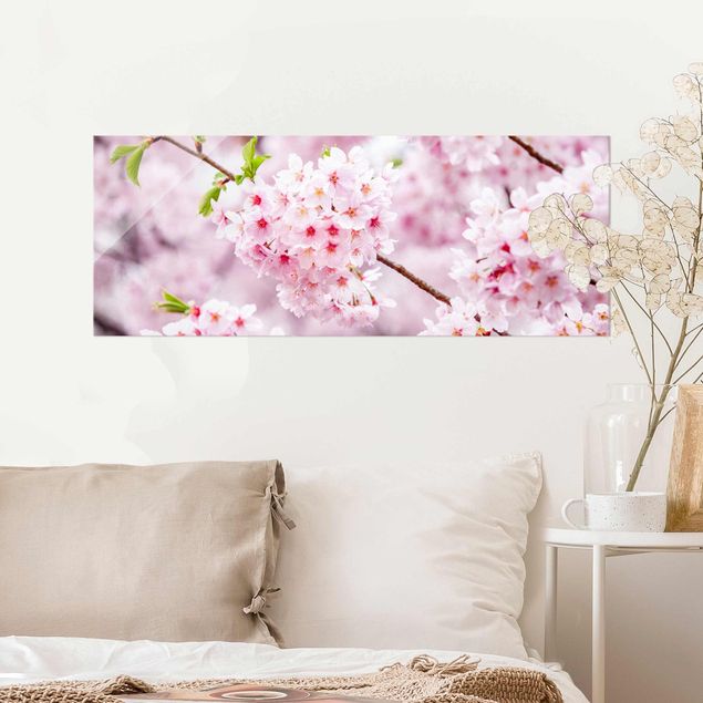 Japanische Kirschblüten Glasbild im Panoramaformat | WALLART