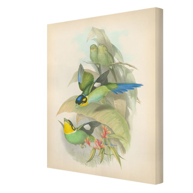 Wanddeko Büro Vintage Illustration Tropische Vögel