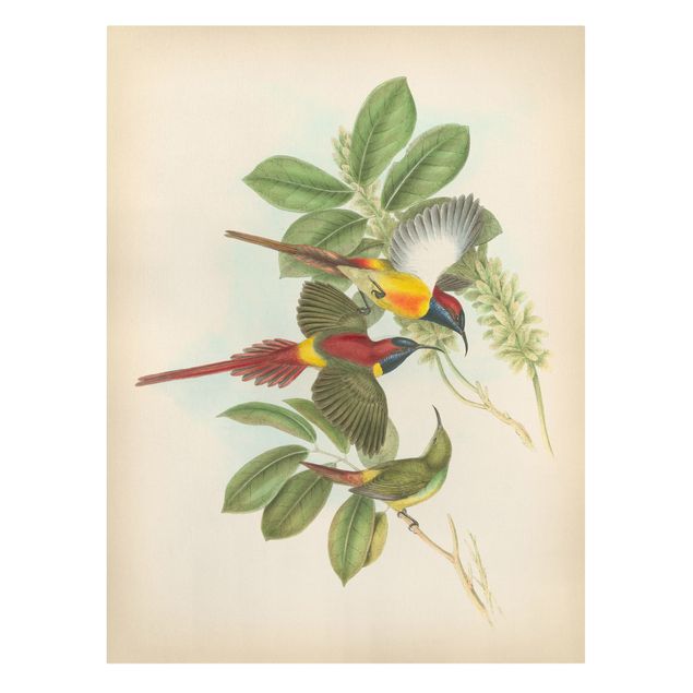 Wanddeko grün Vintage Illustration Tropische Vögel III
