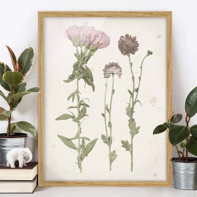 Wanddeko beige Herbarium in rosa III